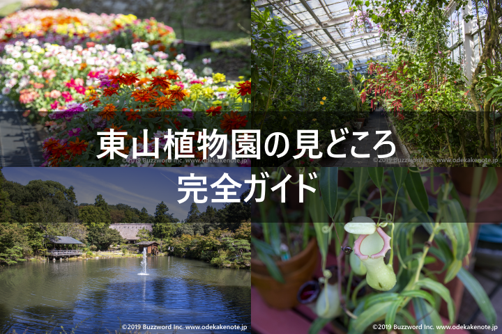 東山植物園の見どころ完全ガイド おでかけノート